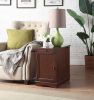 Versatile Design 1pc Side Table Birch Veneer USB Outlet Nightstand Multifunctional Home Furniture